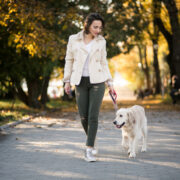 insegnare al cane a camminare vicino