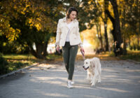 insegnare al cane a camminare vicino