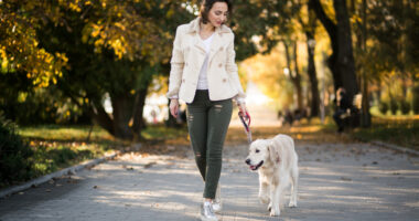 insegnare al cane a camminare vicino