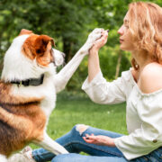 insegnare al cane a ricordare il proprio nome