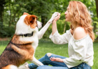 insegnare al cane a ricordare il proprio nome