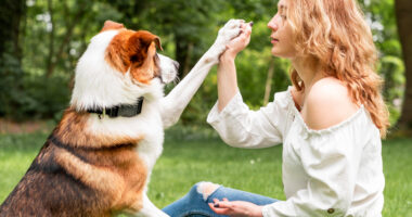 insegnare al cane a ricordare il proprio nome